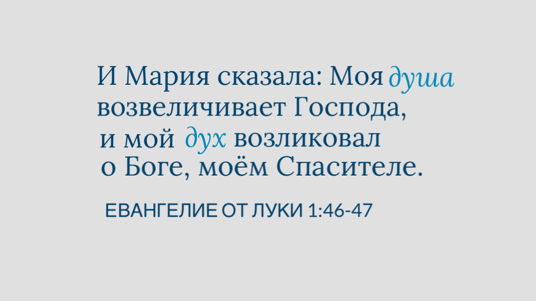 дух и душа в чем разница