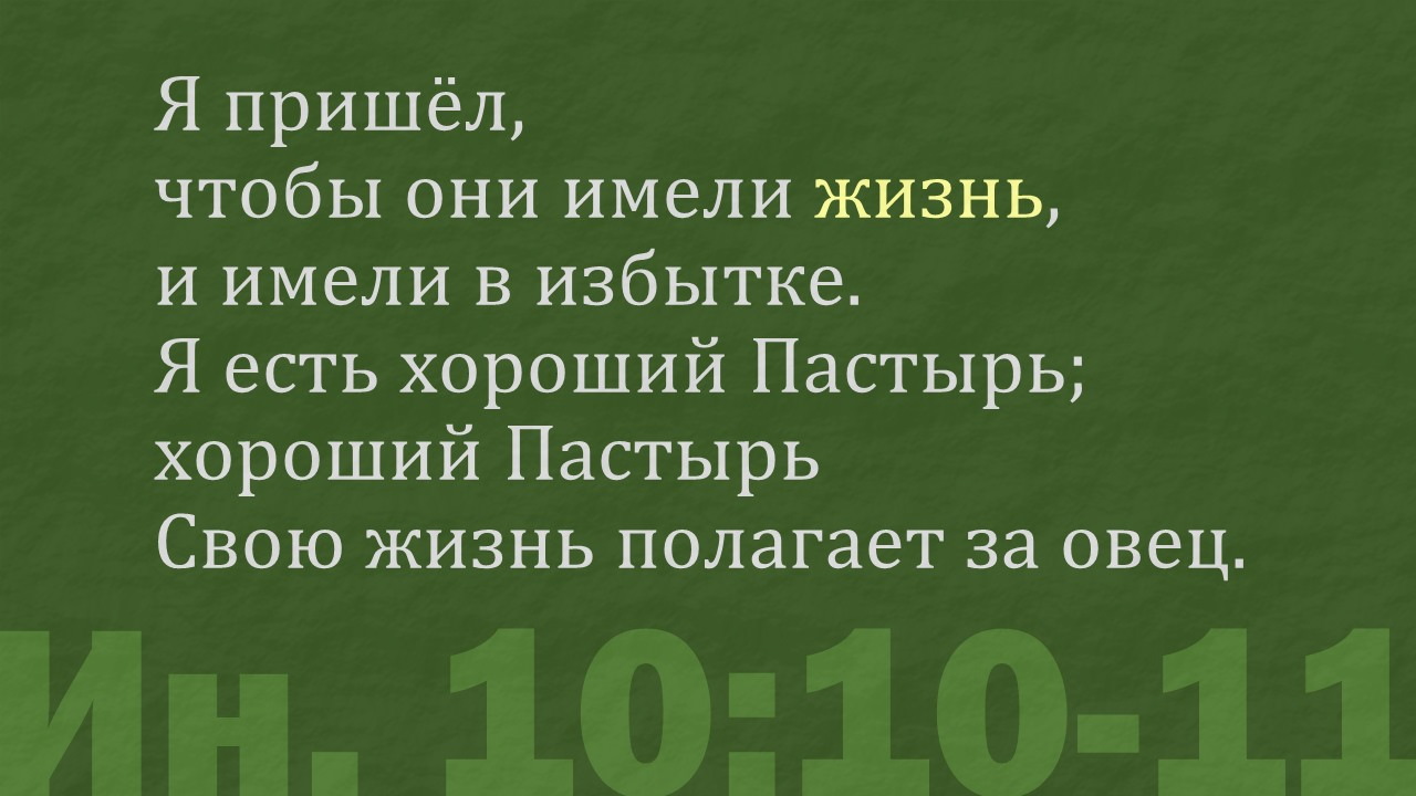 Вечная жизнь