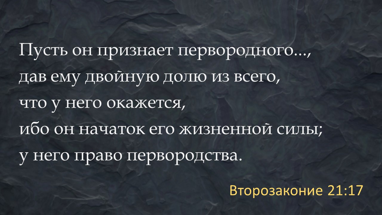 Право первородства